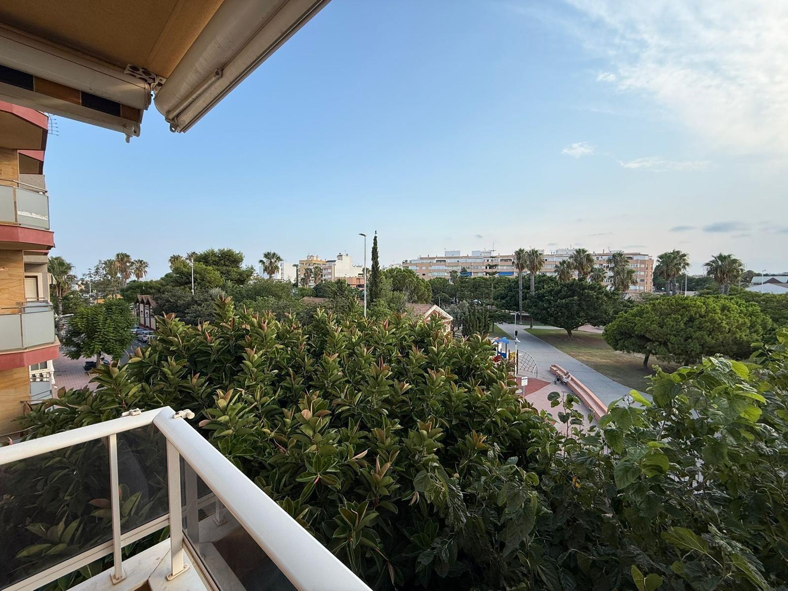 Ein-Schlafzimmer-Wohnung mit Parkblick und Südausrichtung ☀️ Torrevieja - Alicante - Spanien