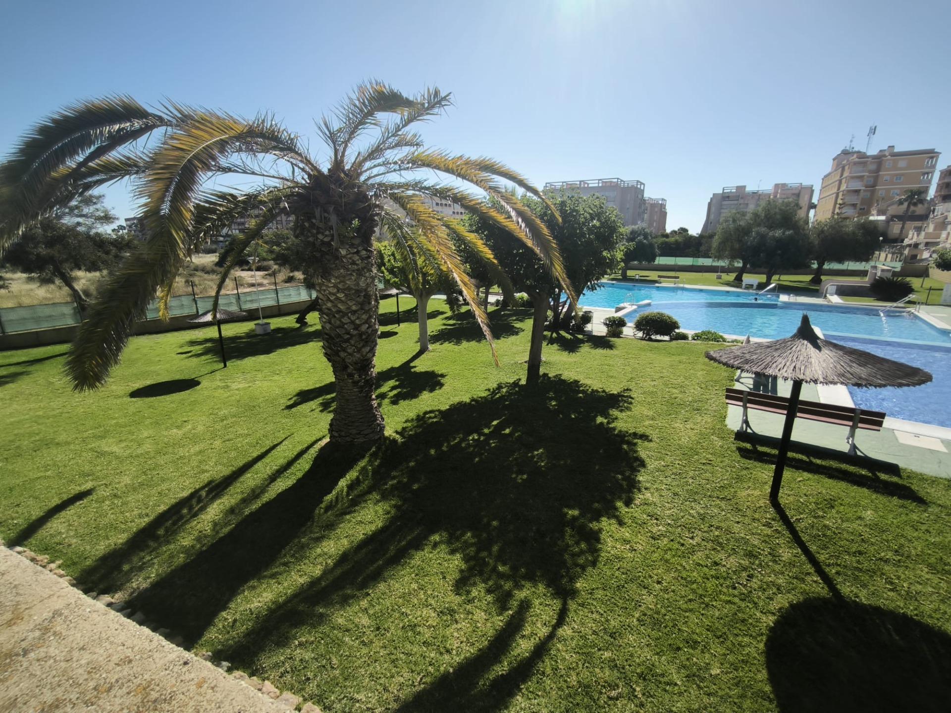 Wohnung in Torrevieja☀️